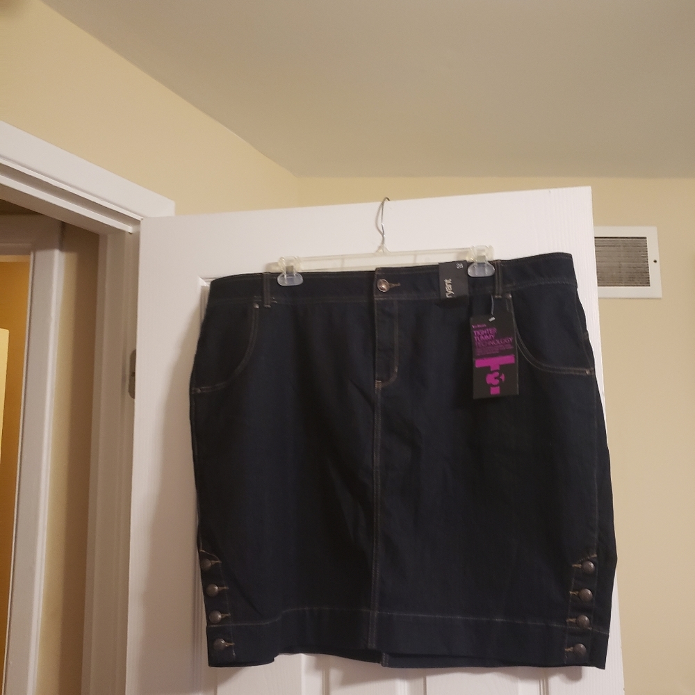 Lane Bryant Skirt